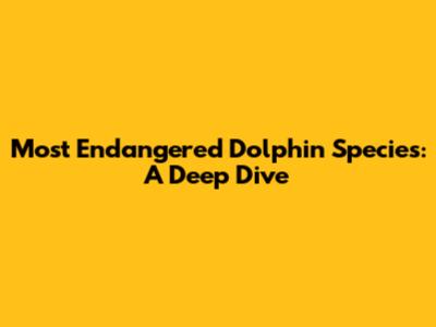 Most Endangered Dolphin Species: A Deep Dive