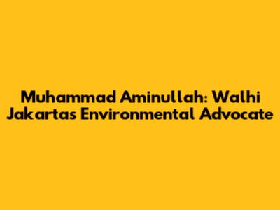 Muhammad Aminullah: Walhi Jakarta's Environmental Advocate