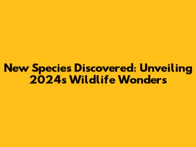 New Species Discovered: Unveiling 2024's Wildlife Wonders