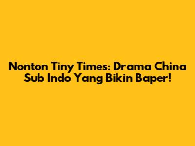 Nonton Tiny Times: Drama China Sub Indo Yang Bikin Baper!