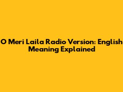 O Meri Laila Radio Version: English Meaning Explained