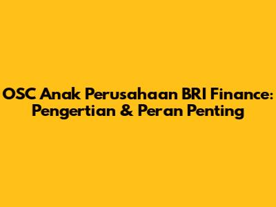 OSC Anak Perusahaan BRI Finance: Pengertian & Peran Penting