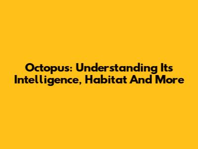 Octopus: Understanding Its Intelligence, Habitat And More