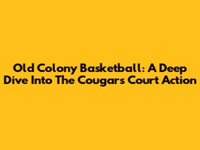 Old Colony Basketball: A Deep Dive Into The Cougars' Court Action