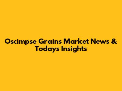 Oscimpse Grains Market News & Today's Insights