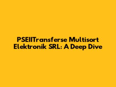 PSEIITransferse Multisort Elektronik SRL: A Deep Dive