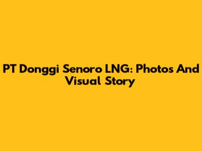 PT Donggi Senoro LNG: Photos And Visual Story