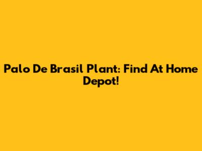 Palo De Brasil Plant: Find At Home Depot!