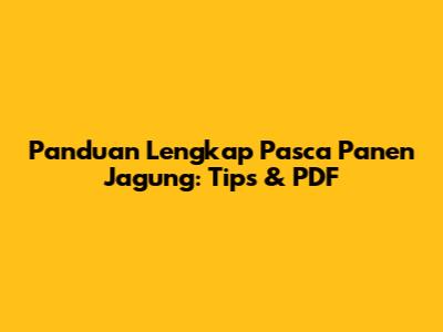 Panduan Lengkap Pasca Panen Jagung: Tips & PDF