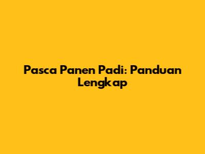 Pasca Panen Padi: Panduan Lengkap