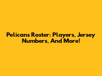 Pelicans Roster: Players, Jersey Numbers, And More!