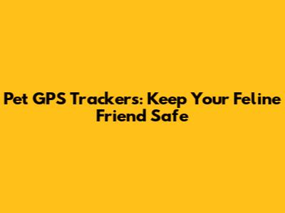 Pet GPS Trackers: Keep Your Feline Friend Safe