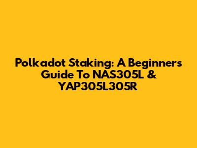 Polkadot Staking: A Beginner's Guide To NAS305L & YAP305L305R