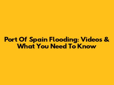 Port Of Spain Flooding: Videos & What You Need To Know