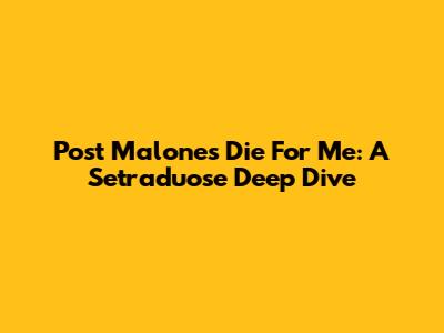 Post Malone's "Die For Me": A Setraduose Deep Dive