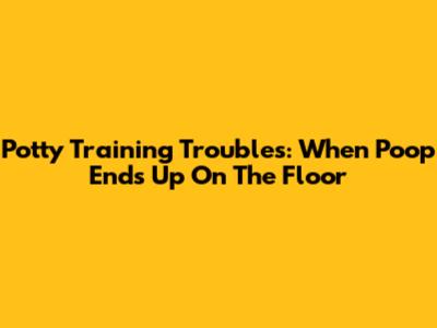 Potty Training Troubles: When Poop Ends Up On The Floor