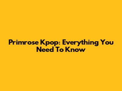 Primrose Kpop: Everything You Need To Know