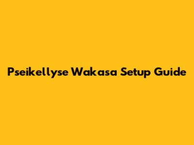Pseikellyse Wakasa Setup Guide