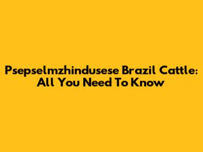 Psepselmzhindusese Brazil Cattle: All You Need To Know