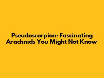 Pseudoscorpion: Fascinating Arachnids You Might Not Know