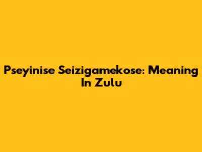 Pseyinise Seizigamekose: Meaning In Zulu