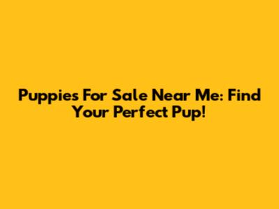 Puppies For Sale Near Me: Find Your Perfect Pup!