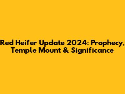 Red Heifer Update 2024: Prophecy, Temple Mount & Significance