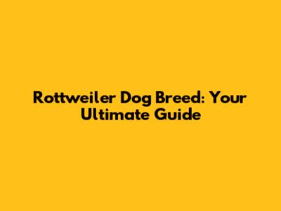 Rottweiler Dog Breed: Your Ultimate Guide