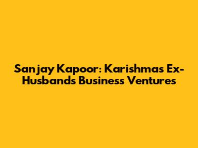 Sanjay Kapoor: Karishma's Ex-Husband's Business Ventures