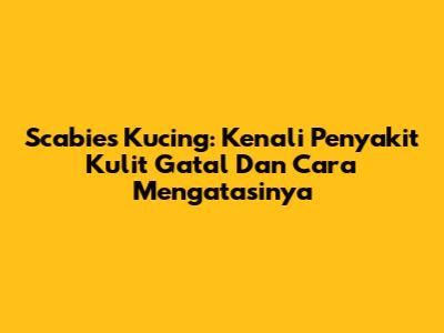 Scabies Kucing: Kenali Penyakit Kulit Gatal Dan Cara Mengatasinya