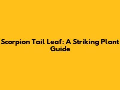 Scorpion Tail Leaf: A Striking Plant Guide