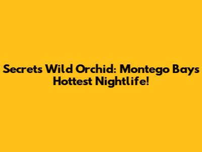 Secrets Wild Orchid: Montego Bay's Hottest Nightlife!