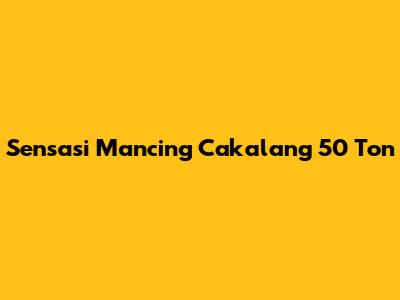 Sensasi Mancing Cakalang 50 Ton