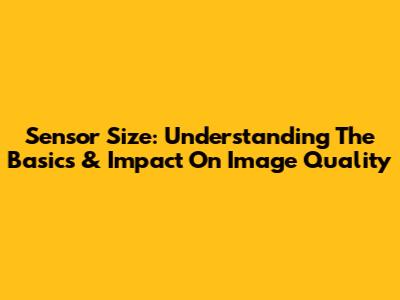 Sensor Size: Understanding The Basics & Impact On Image Quality