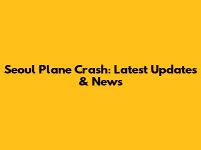 Seoul Plane Crash: Latest Updates & News