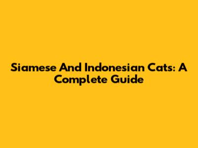 Siamese And Indonesian Cats: A Complete Guide