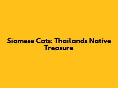 Siamese Cats: Thailand's Native Treasure