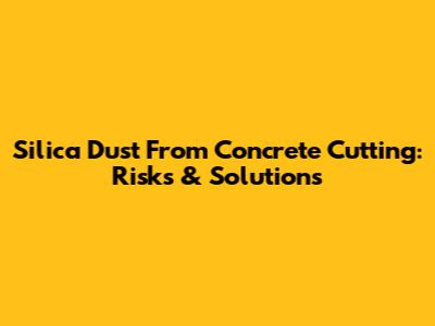 Silica Dust From Concrete Cutting: Risks & Solutions