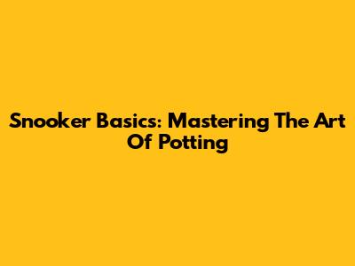 Snooker Basics: Mastering The Art Of Potting