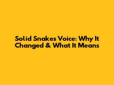 Solid Snake's Voice: Why It Changed & What It Means