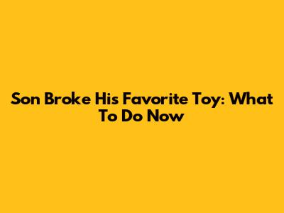 Son Broke His Favorite Toy: What To Do Now