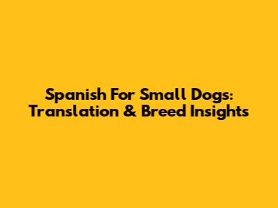 Spanish For Small Dogs: Translation & Breed Insights