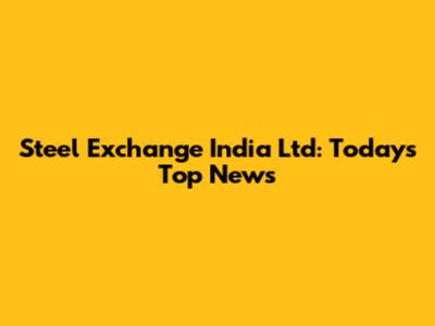 Steel Exchange India Ltd: Today's Top News