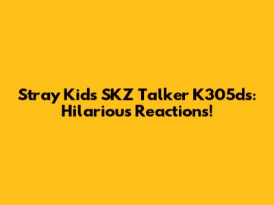 Stray Kids SKZ Talker K305ds: Hilarious Reactions!