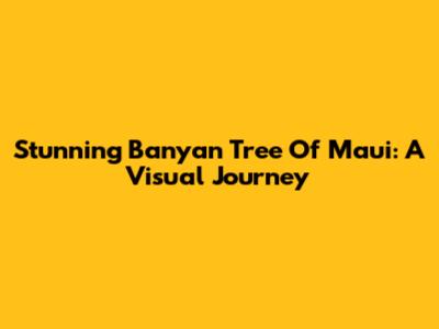 Stunning Banyan Tree Of Maui: A Visual Journey