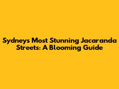 Sydney's Most Stunning Jacaranda Streets: A Blooming Guide