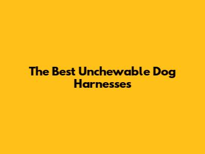 The Best Unchewable Dog Harnesses