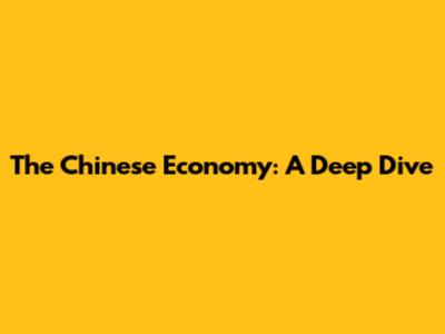 The Chinese Economy: A Deep Dive