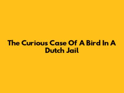 The Curious Case Of A Bird In A Dutch Jail