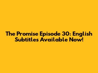 The Promise Episode 30: English Subtitles Available Now!